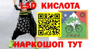 шишки Заводоуковск
